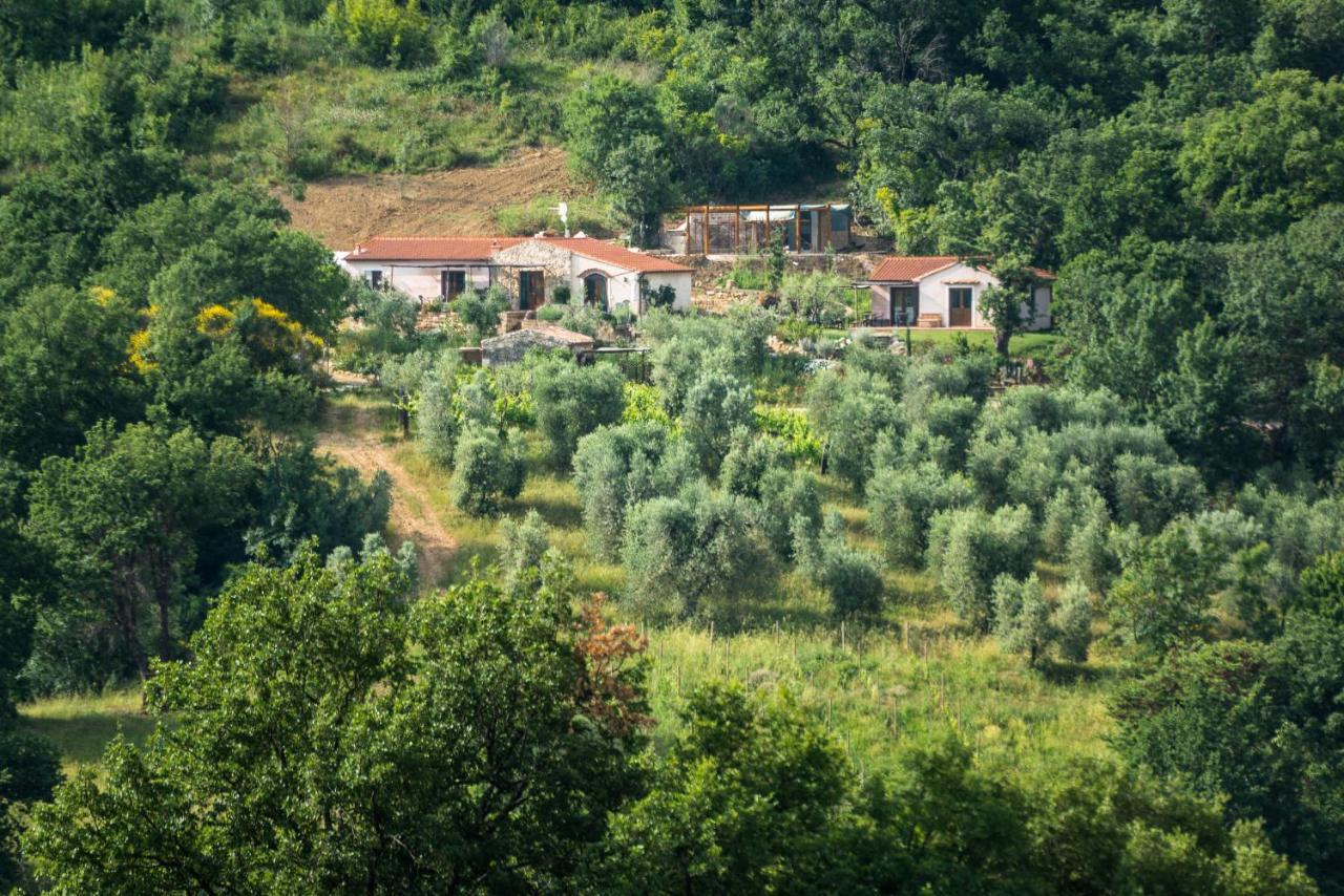 Agriturismo Fontenuova Saturnia Exterior foto